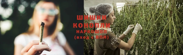 спиды Богородск