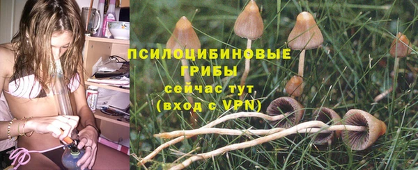 таблы Богородицк