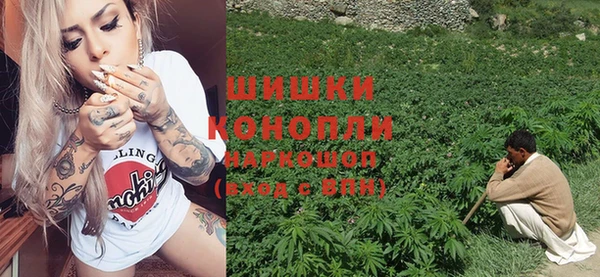 спиды Богородск