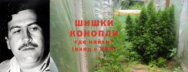 таблы Богородицк
