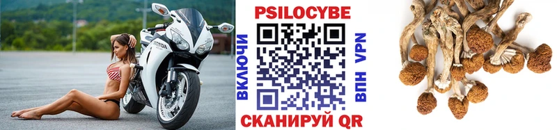 цена наркотик  Северск  Галлюциногенные грибы мухоморы 